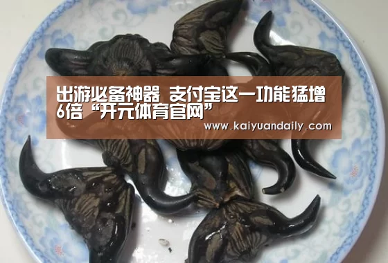 开元体育官网直播