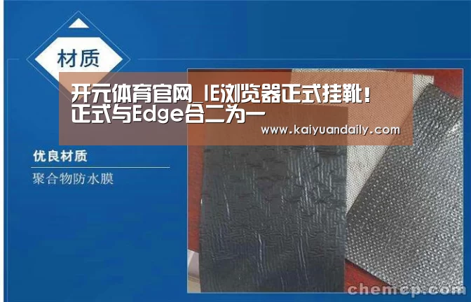 开元体育官网_IE浏览器正式挂靴!正式与Edge合二为一(图4) 开元体育官网直播