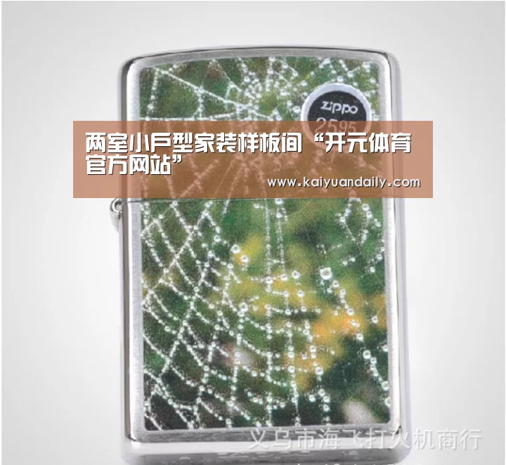 两室小户型家装样板间“开元体育官方网站”(图2) 开元体育官网