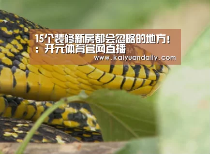 15个装修新房都会忽略的地方!:开元体育官网直播(图2) 开元体育官网