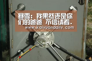 暴雪:我果然还是你们的爸爸 不信请看...“开元体育官方网站”(图1) 开元体育官网直播